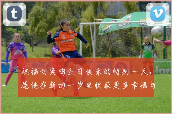祝福刘奕鸣生日快乐的特别一天，愿他在新的一岁里收获更多幸福与成功