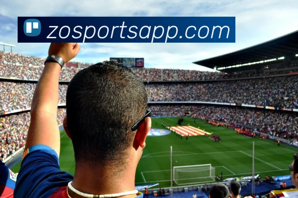 中欧体育平台生态图