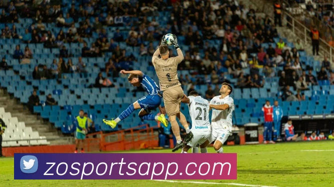 中欧体育APP 封面图