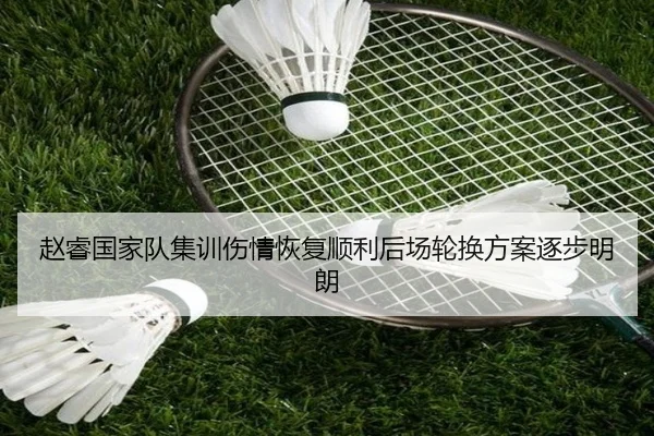 赵睿国家队集训伤情恢复顺利后场轮换方案逐步明朗